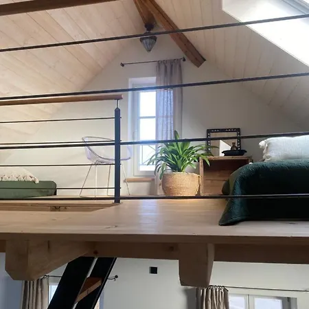 Appartement D.d. *